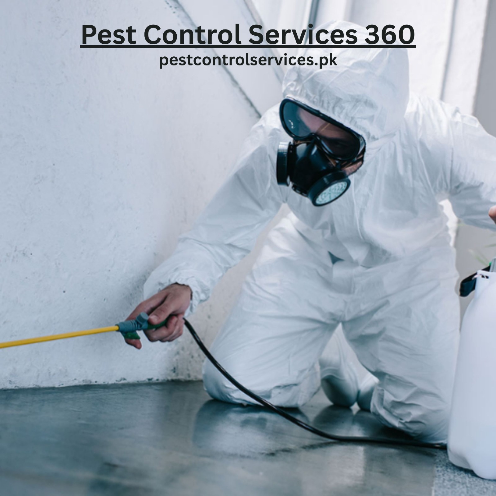 0-pestcontrolservixes360-1.jpg